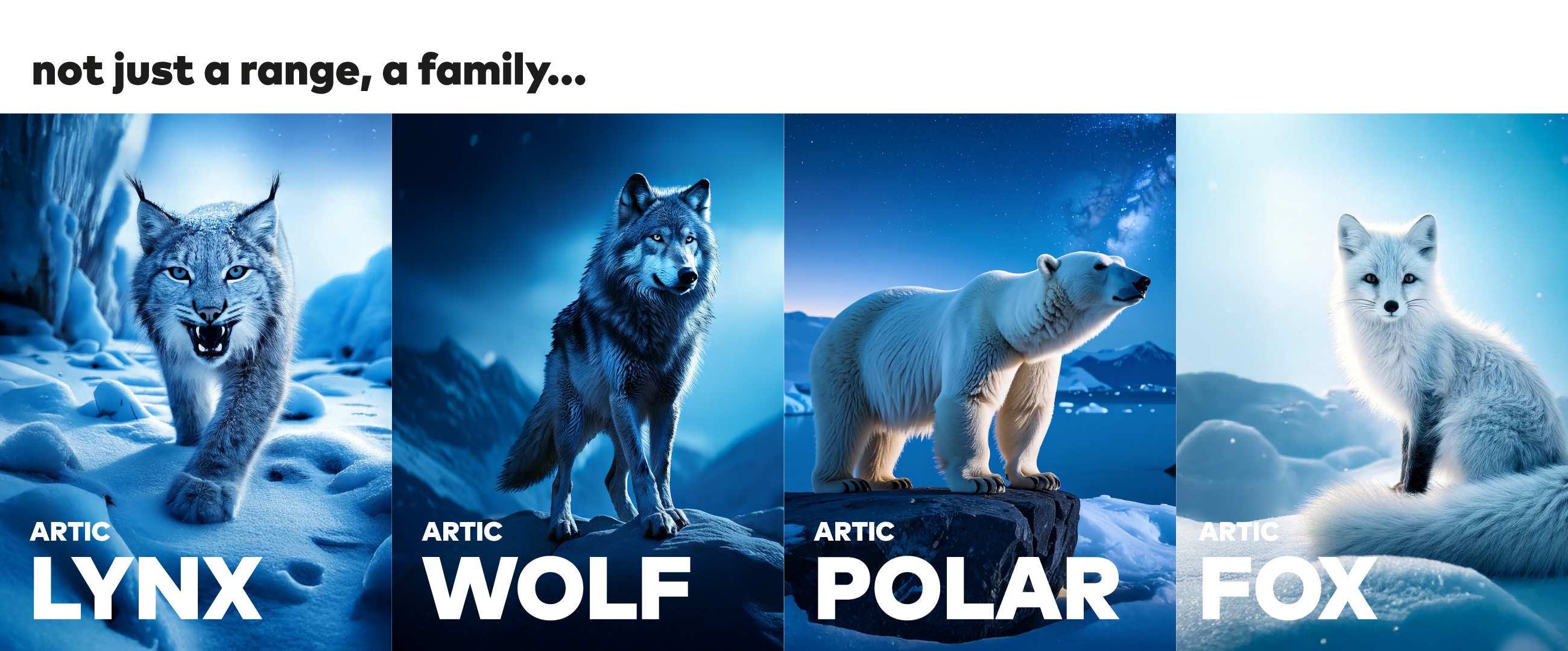 003-BANNER-ANIMALI-21-01-BLOGPOST-NUOVA-LINEA-COLD