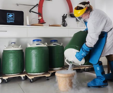 immagine-ambientata-2-COLD